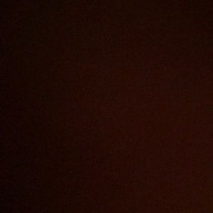 Meet your Posher, Genesis